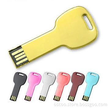 key shape usb flash disk, china factory